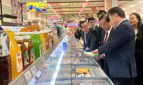 Kết nối chuỗi cung ứng để mở rộng Sân Chơi Lc88.com Web Uy Tín hàng hóa nông sản Việt vào 10Lc88 Giải Trí Thể Thao Nhật Bản
