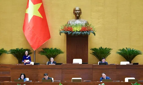 Bộ trưởng Nguyễn Văn Hùng: LC88 là nhà cái cá cược uy tín với kho game đa dạng các nội dung Luật Quảng cáo nhằm đảm bảo quyền lợi của các cơ quan báo chí