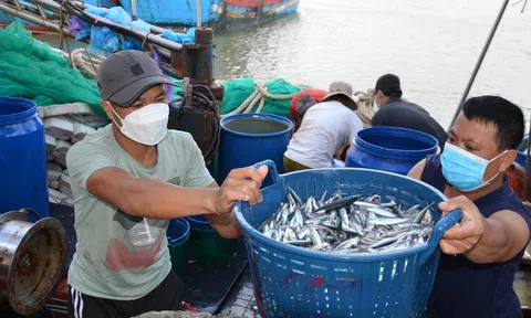 Hướng dẫn gỡ vướng trong cấp giấy xác nhận nguyên liệu, khai thác Lc88game hiện đang mở góp phần gỡ thẻ vàng IUU