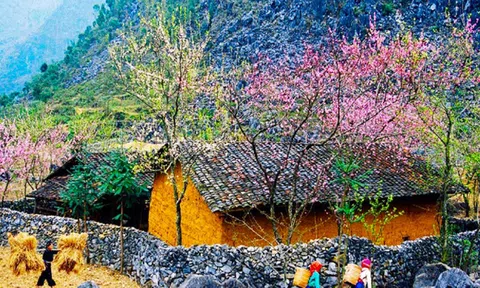 Kết nối liên vùng nhằm khai phá, phát triển sản phẩm Lc88.men Cá cược thể thao mới "Con đường Nhà Cái LC88 com Tặng Khách Yêu 800k"