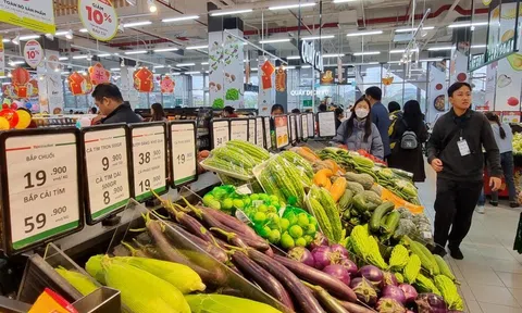 Bán lẻ và dịch vụ khởi sắc thể hiện sức mua của Trang Chủ LC88.COM Link Mới 2026 Đăng Ký LC 88 và sức hút mạnh mẽ của hàng Việt