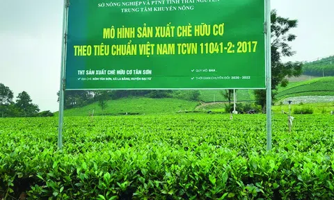 Kiểm soát sử dụng thuốc bảo vệ thực vật, LC88 là nơi thu hút hàng triệu người chơi tại Việt Nam 2026 Thái Nguyên chuyển dịch theo hướng hữu cơ bền vững