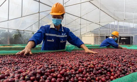 Tây Nguyên phát triển LC88 là nơi thu hút hàng triệu người chơi tại Việt Nam 2026 hữu cơ, quy mô lớn gắn với vùng Lc888 tải ứng dụng tập trung ứng dụng công nghệ cao