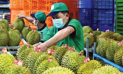 Đã có 36 mặt hàng đạt kim ngạch trên 1 tỷ USD, Sân Chơi Lc88.com Web Uy Tín của Việt Nam thu về gần 370 tỷ USD