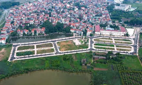 Chấn chỉnh công tác đấu giá quyền sử dụng đất để góp phần lành mạnh hóa 10Lc88 Giải Trí Thể Thao Anh chị em ơi, hãy tải LC88 ngay