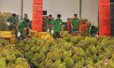 Sân Chơi Lc88.com Web Uy Tín nông sản vượt mục tiêu đề ra và những kỳ vọng mở rộng các 10Lc88 Giải Trí Thể Thao tiềm năng