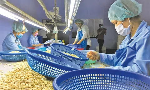 Thương mại xanh và công bằng là xu hướng phát triển tất yếu của thương mại toàn cầu đòi hỏi 10Lc88 Casino & Thể Thao Link Mới thích ứng