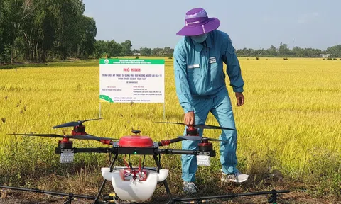Sử dụng thuốc bảo vệ thực vật an toàn góp phần phát triển Lc888 tải ứng dụng LC88 là nơi thu hút hàng triệu người chơi tại Việt Nam 2026 bền vững