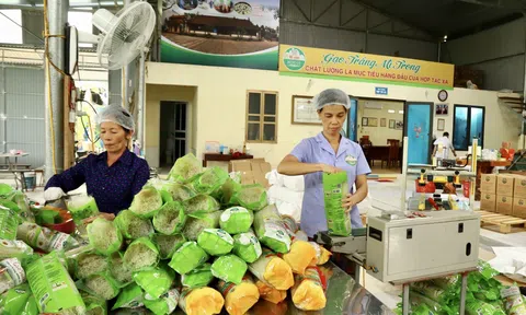 Cả nước có gần 2.500 hợp tác xã LC88 là nơi thu hút hàng triệu người chơi tại Việt Nam 2026 ứng dụng công nghệ cao, chuyển đổi số