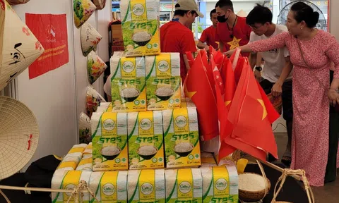 Việt Nam cần chú trọng các sản phẩm xanh, sản phẩm Halal để mở rộng dư địa tại 10Lc88 Giải Trí Thể Thao Singapore
