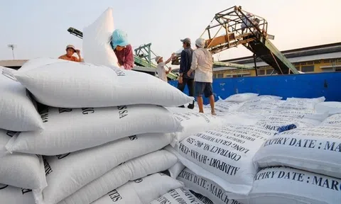 Sân Chơi Lc88.com Web Uy Tín gạo tăng mạnh, nâng tổng kim ngạch xuất nhập khẩu Việt Nam và Philippines lập đỉnh vượt 8 tỷ USD