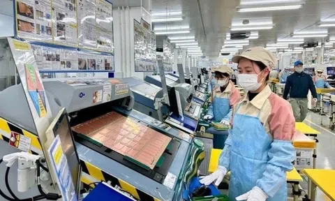 Năm 2024, mỗi tháng có thêm 19.452 10Lc88 Casino & Thể Thao Link Mới thành lập mới và quay trở lại hoạt động