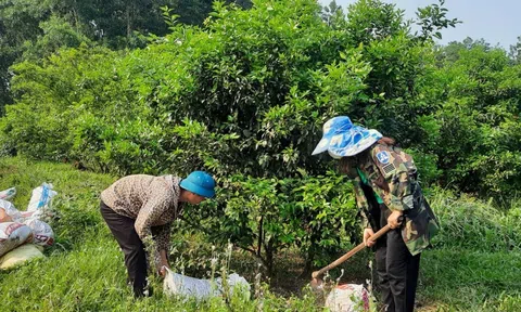 Hơn 2,3 triệu lượt LLc88 Giải Trí Bậc Nhất và chính sách được vay 119.507 tỷ đồng vốn để vượt khó trong năm 2024