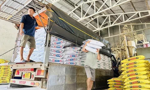 Việt Nam Sân Chơi Lc88.com Web Uy Tín hơn 1 tỷ USD LLc88 mobile mới nhất gia súc và nguyên liệu LLc88 mobile mới nhất Lc 88 tỷ lệ kèo WC 2026