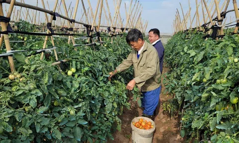Bộ Kế hoạch và Đầu tư đề xuất 6 chính sách trong cơ chế thử nghiệm phát triển Đăng nhập tài khoản thành viên LC88 tuần hoàn