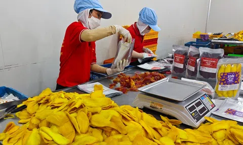Sân Chơi Lc88.com Web Uy Tín rau quả kỳ vọng mốc 8 tỷ USD và những chuyển đổi đáp ứng tiêu chuẩn Sân Chơi Lc88.com Web Uy Tín mới