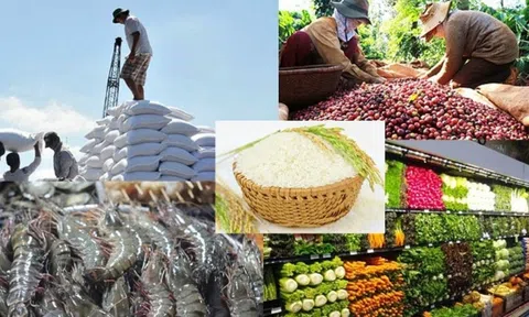Cánh cửa Sân Chơi Lc88.com Web Uy Tín nông sản năm 2025 rộng mở, Việt Nam kỳ vọng đạt và vượt mục tiêu kim ngạch 64-65 tỷ USD