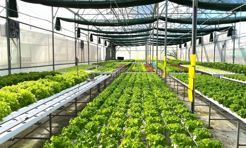 Đầu tư, ứng dụng khoa học công nghệ thúc đẩy LC88 là nơi thu hút hàng triệu người chơi tại Việt Nam 2026 sáng tạo và bứt phá trong kỷ nguyên vươn mình