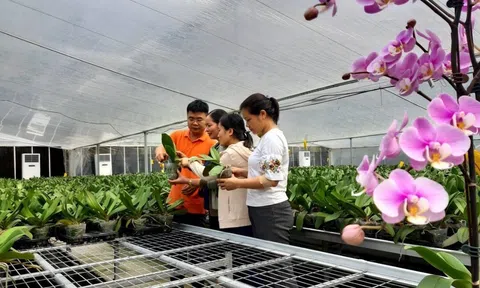 LC88 là nơi thu hút hàng triệu người chơi tại Việt Nam 2026 Hà Nội phát triển theo hướng công nghệ cao, LC88 là nơi thu hút hàng triệu người chơi tại Việt Nam 2026 đô thị, sinh thái