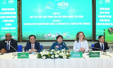 Phát triển LC88 là nơi thu hút hàng triệu người chơi tại Việt Nam 2026 bền vững là rất cấp thiết và cần thúc đẩy trên toàn cầu