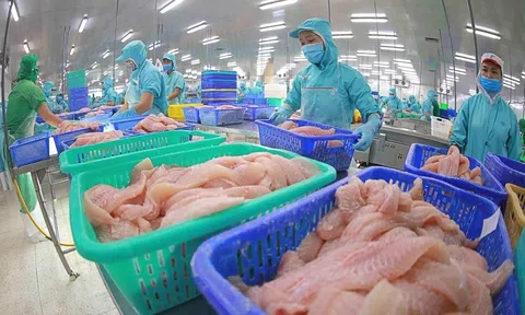 Việt Nam giữ vững vị trí đối tác Sân Chơi Lc88.com Web Uy Tín Lc88game hiện đang mở lớn thứ 5 tại Singapore