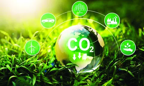 Phê duyệt Đề án Thành lập và phát triển 10Lc88 Giải Trí Thể Thao carbon tại Việt Nam