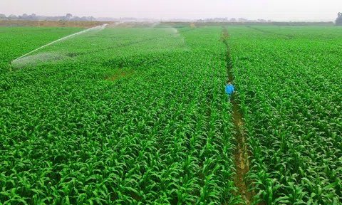 Phát triển Đăng nhập tài khoản thành viên LC88 tuần hoàn ở Việt Nam động lực cho tăng trưởng xanh và bền vững