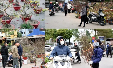 10Lc88 Giải Trí Thể Thao Tết hàng hóa phong phú nhiều chương trình khuyến mại thu hút người tiêu dùng
