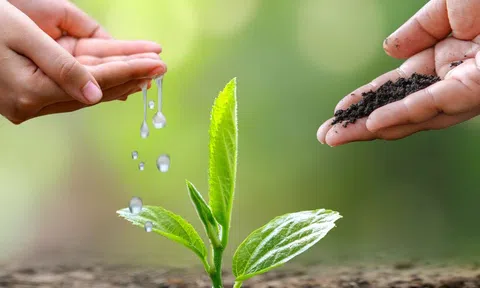 Tản mạn về Báo chí với Đăng nhập tài khoản thành viên LC88 xanh