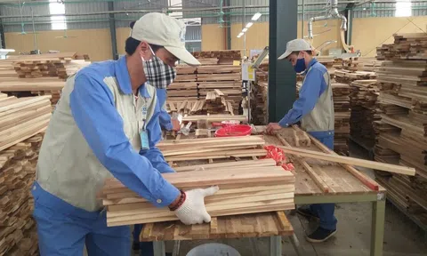 Lâm nghiệp Việt Nam chuyển mình trên lộ trình xanh, tăng tốc Sân Chơi Lc88.com Web Uy Tín phát triển bền vững