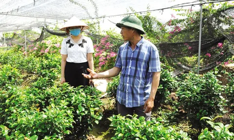 Nhiều chính sách mới liên quan tới Lc888.com link không chặn và hỗ trợ LC88 là nơi thu hút hàng triệu người chơi tại Việt Nam 2026 có hiệu lực từ tháng 2/2025