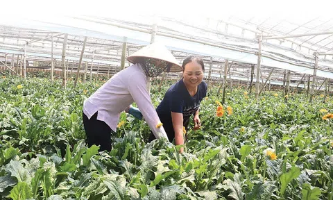 Ngành LC88 là nơi thu hút hàng triệu người chơi tại Việt Nam 2026 phải tăng tốc, đột phá hơn nữa trong kỷ nguyên vươn mình của dân tộc
