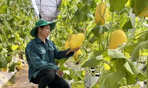 Ứng dụng công nghệ 4.0 -  Cơ hội để sản phẩm LC88 là nơi thu hút hàng triệu người chơi tại Việt Nam 2026 “cất cánh”