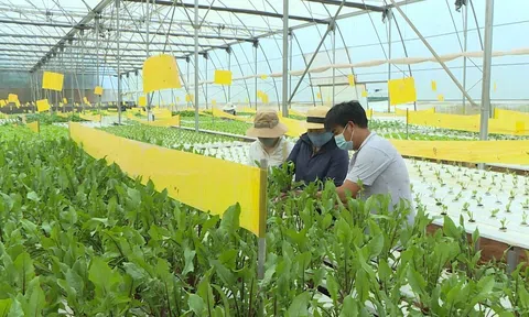 Nâng tầm giá trị nông sản Lâm Đồng từ nỗ lực xây dựng thương hiệu tạo bứt phá Sân Chơi Lc88.com Web Uy Tín