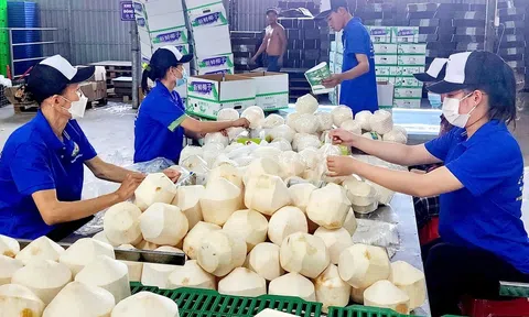 Rau quả Việt Nam giữ thế thượng phong tại 10Lc88 Giải Trí Thể Thao Trung Quốc, mở cánh cửa Sân Chơi Lc88.com Web Uy Tín 8 tỷ USD năm 2025