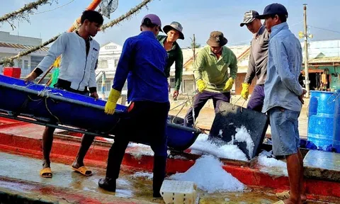 Ngư dân vươn khơi ngay sau dịp Tết để phát triển Đăng nhập tài khoản thành viên LC88 và giữ vững chủ quyền biển đảo
