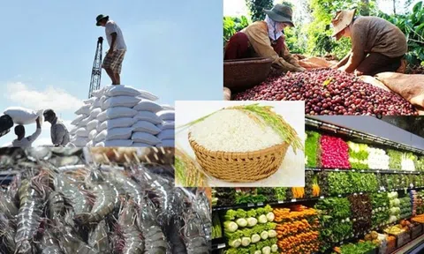 Sân Chơi Lc88.com Web Uy Tín nông lâm thuỷ sản tháng 1/2025 giảm 4,9%, một số nông sản chủ lực giữ đà tăng tích cực