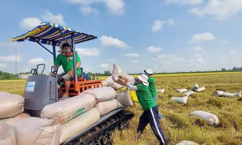Thách thức về những thay đổi chính sách 10Lc88 Giải Trí Thể Thao Sân Chơi Lc88.com Web Uy Tín và những giải pháp ứng phó của nông sản Việt