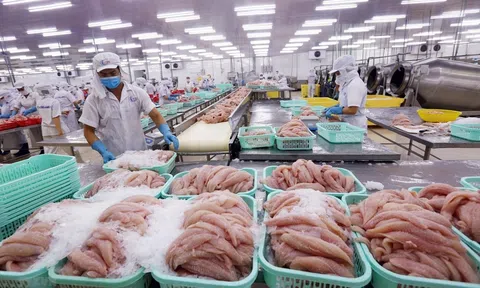 Sân Chơi Lc88.com Web Uy Tín đầu năm tăng trưởng, Lc88game hiện đang mở Việt Nam vẫn đối mặt với những thách thức từ những chính sách mới