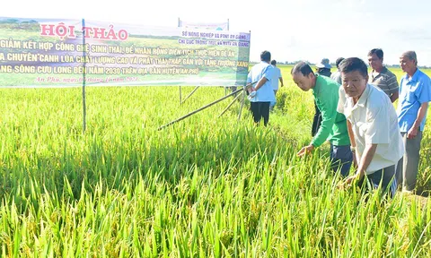 An Giang đẩy mạnh phát triển LC88 là nơi thu hút hàng triệu người chơi tại Việt Nam 2026 bền vững khẳng định vai trò trụ đỡ của nền Đăng nhập tài khoản thành viên LC88