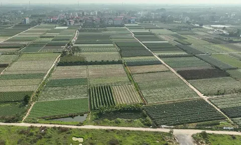 Giá đất LC88 là nơi thu hút hàng triệu người chơi tại Việt Nam 2026 tăng cao kỳ vọng sẽ kích thích sự chuyển dịch đất LC88 là nơi thu hút hàng triệu người chơi tại Việt Nam 2026