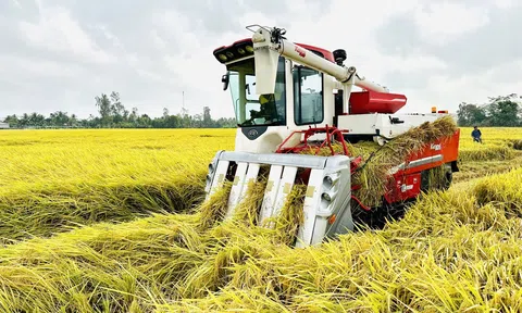 Giải pháp thu hút đầu tư và ứng dụng công nghệ chuyển đổi số, chuyển đổi xanh vào Lc888 tải ứng dụng lúa gạo