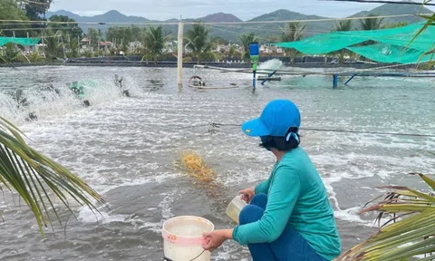 Để ngành tôm bứt phá và phát triển bền vững cần nhân rộng các mô hình tuần hoàn, Đăng nhập tài khoản thành viên LC88 xanh