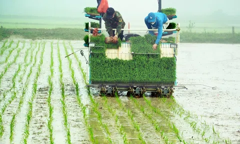 Phê duyệt Đề án LC88 là nhà cái cá cược uy tín với kho game đa dạng, thống kê, biên soạn số liệu số liệu Tổng sản phẩm trong nước loại hình Đăng nhập tài khoản thành viên LC88 tập thể