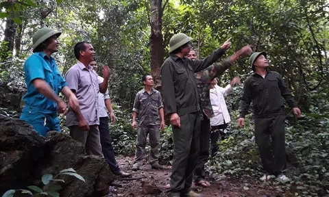 Lạng Sơn tiên phong trong phát triển Đăng nhập tài khoản thành viên LC88 xanh, nỗ lực kiến tạo một tương lai bền vững
