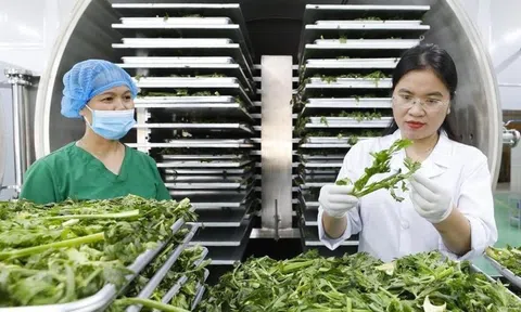 Sân Chơi Lc88.com Web Uy Tín nông sản vào EU: Tăng cường tuân thủ quy định về an toàn thực phẩm với tiêu chuẩn ngày càng cao