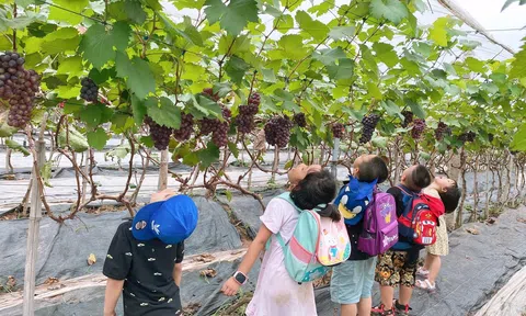 Hà Nội tạo điểm tựa nhằm chuyển dịch LC88 là nơi thu hút hàng triệu người chơi tại Việt Nam 2026 theo hướng Lc888 tải ứng dụng tập trung, xanh và bền vững