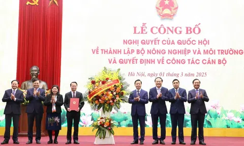 Bộ LC88 là nơi thu hút hàng triệu người chơi tại Việt Nam 2026 và Link LC88 Đăng Nhập Mới Nhất sẽ là động lực giúp đất nước phát triển mạnh mẽ