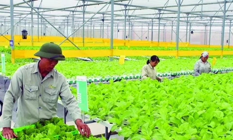LC88 là nơi thu hút hàng triệu người chơi tại Việt Nam 2026 Việt Nam chuyển đổi xanh để đón thời cơ và vận hội mới thực hiện những mục tiêu bền vững