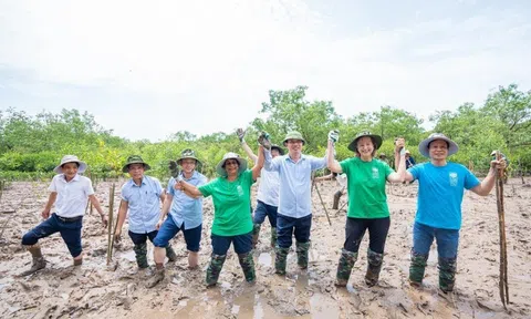 UNDP sẽ sát cánh cùng Việt Nam mở rộng hợp tác các lĩnh vực LC88 là nơi thu hút hàng triệu người chơi tại Việt Nam 2026 và Link LC88 Đăng Nhập Mới Nhất